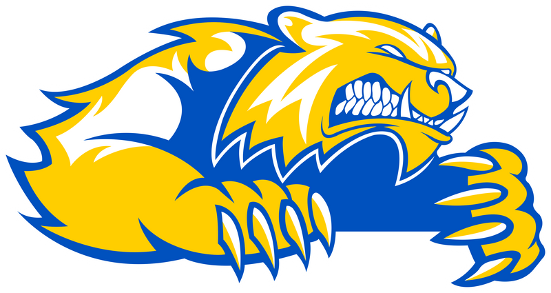 Simeon Career Academy Fan Store