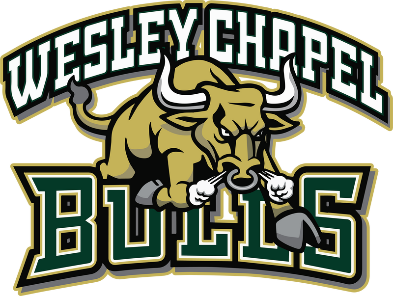 Wesley Chapel Bulls Fan Store