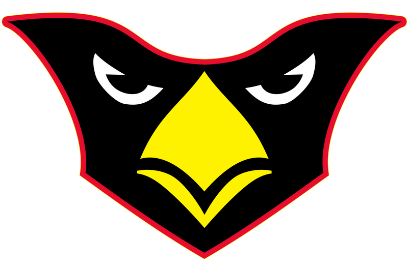 Ridgefield HS Fan Store