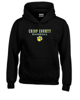 Crisp County HS Baseball Block - Youth Hoodie