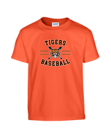 Herrin Jr HS Baseball Curve - Youth Shirt