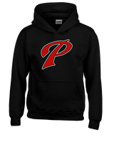 Palomar College Water Polo Custom 05 - Youth Hoodie
