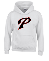 Palomar College Water Polo Custom 05a - Youth Hoodie