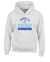 Pueblo HS Girls Volleyball Property - Unisex Hoodie