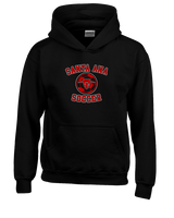 Santa Ana College Womens Soccer Curve - Youth Hoodie