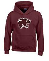 Stuarts Draft HS Wrestling C4 - Youth Hoodie