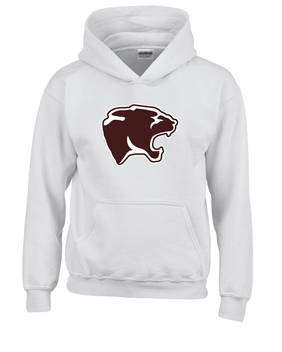 Stuarts Draft HS Wrestling C4 - Youth Hoodie