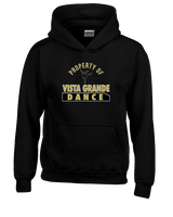 Vista Grande HS Dance Company Property - Youth Hoodie
