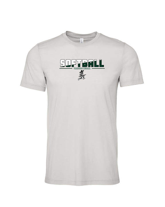 Wachusett Regional HS Softball Cut - Tri-Blend Shirt