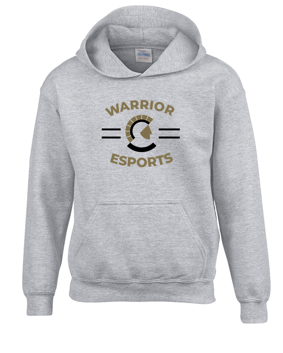 Army & Navy Academy Esports Curve - Unisex Hoodie
