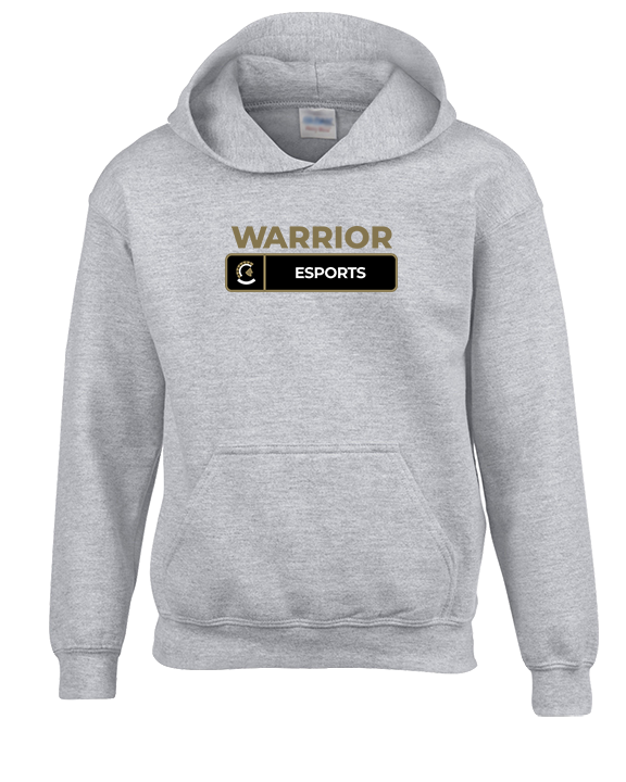 Army & Navy Academy Esports Pennant - Unisex Hoodie
