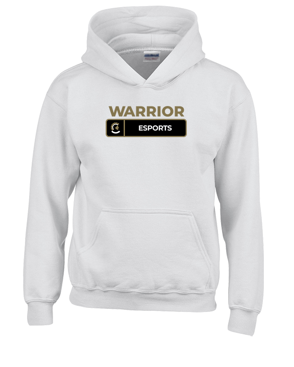 Army & Navy Academy Esports Pennant - Youth Hoodie