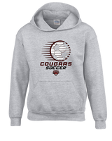 Auburn Hills Christian School Soccer Soccer Ball - Unisex Hoodie