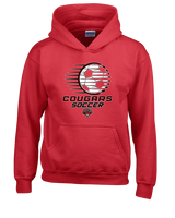 Auburn Hills Christian School Soccer Soccer Ball - Unisex Hoodie