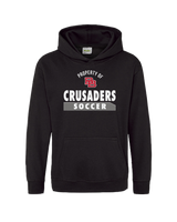Bound Brook HS Property - Cotton Hoodie