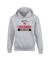 Bound Brook HS Property - Youth Hoodie