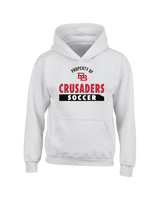 Bound Brook HS Property - Youth Hoodie