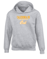 Caledonia HS Boys Lacrosse Block - Youth Hoodie