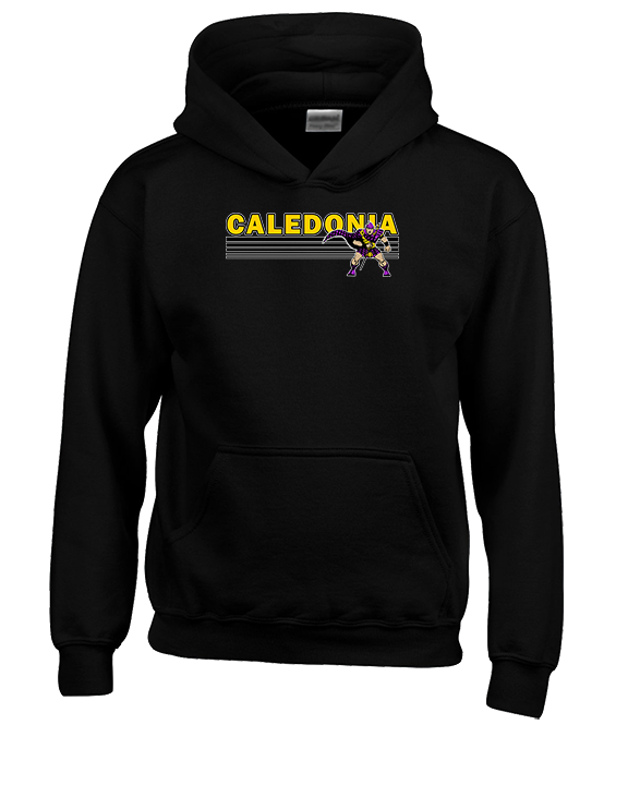 Caledonia HS Cheer Stripes - Youth Hoodie