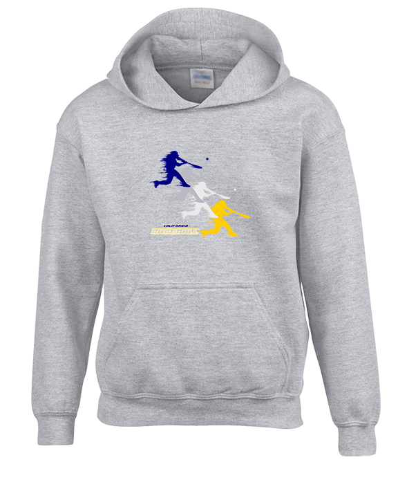 California Baseball Swing - Youth Hoodie