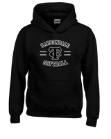 Carbondale HS Softball Curve - Youth Hoodie