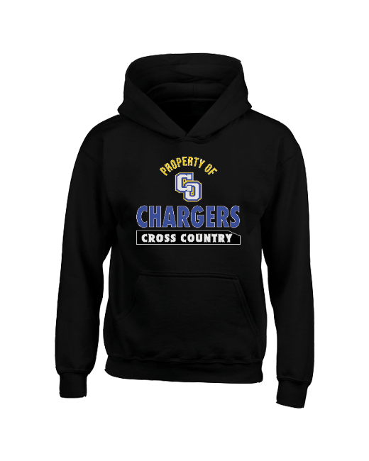 Charter Oak HS Property - Youth Hoodie