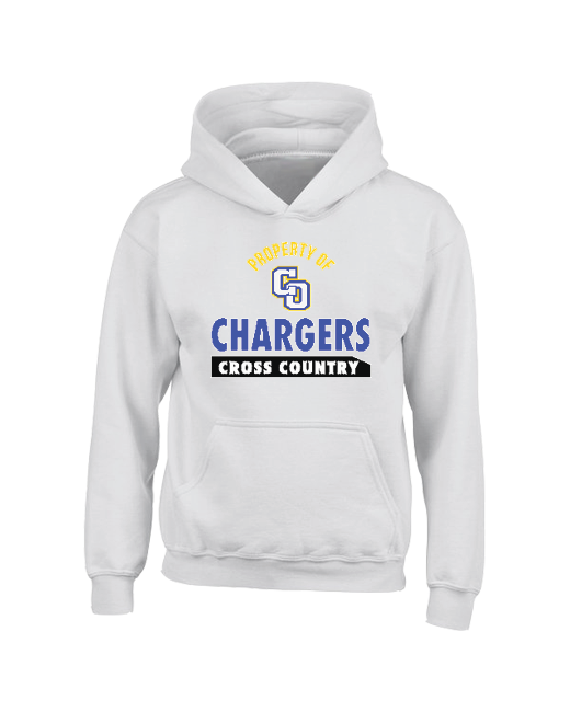 Charter Oak HS Property - Youth Hoodie