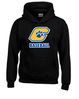 Crisp County HS Team Logo Baseball - Youth Hoodie
