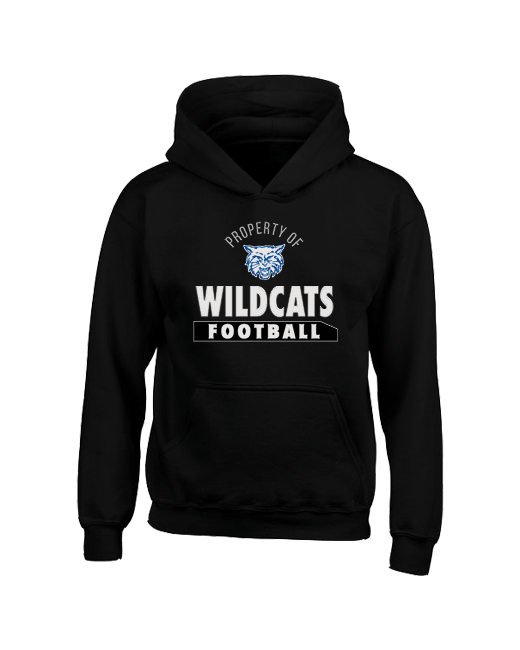 Dallastown Property  - Youth Hoodie