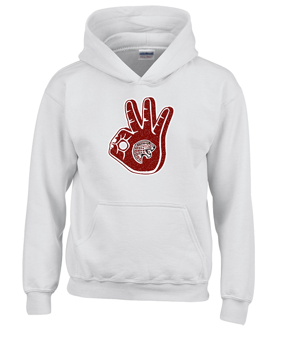 Desert View HS Boys Basketball Shooter - Youth Hoodie