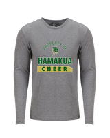 Hamakua Cougars Cheer Property - Tri-Blend Long Sleeve