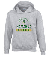 Hamakua Cougars Cheer Property - Youth Hoodie