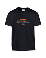 Herrin HS Softball - Youth Shirt