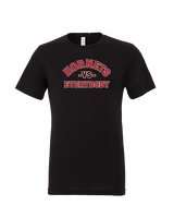 Honesdale HS Football Vs Everybody - Tri-Blend Shirt