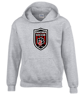 Jackson County HS Soccer Emblem - Youth Hoodie