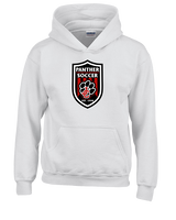 Jackson County HS Soccer Emblem - Youth Hoodie