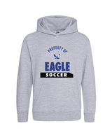 Nazareth HS Property - Cotton Hoodie