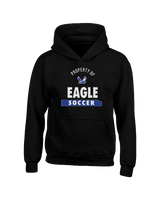 Nazareth HS Property - Youth Hoodie