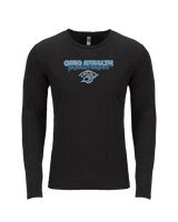 Ohio Stealth Softball Grandparent - Tri-Blend Long Sleeve