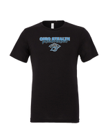 Ohio Stealth Softball Grandparent - Tri-Blend Shirt