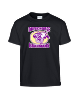 Okeechobee HS Football Logo - Youth Shirt