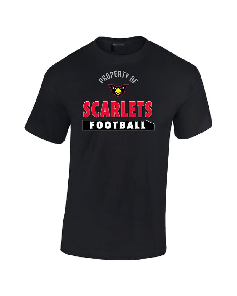 Ridgefield HS Property - Cotton T-Shirt