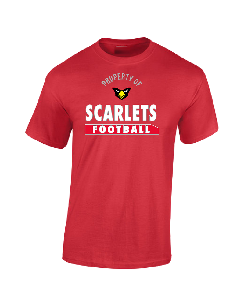 Ridgefield HS Property - Cotton T-Shirt