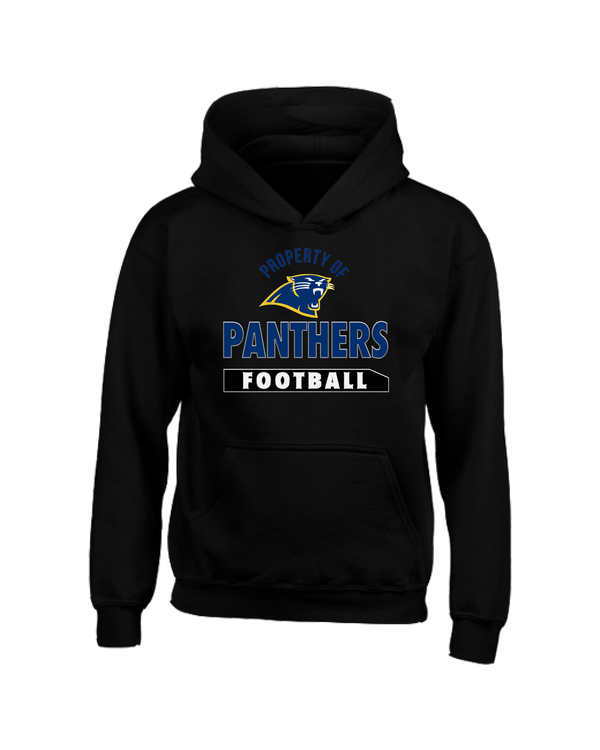 Downers Grove Panthers Property- Youth Hoodie