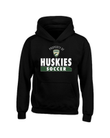 South Hills HS Soccer Property - Youth Hoodie