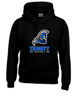 TIU Softball Stacked - Youth Hoodie