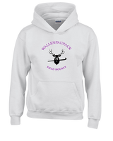 Wallenpaupack HS Field Hockey Custom 01 - Youth Hoodie