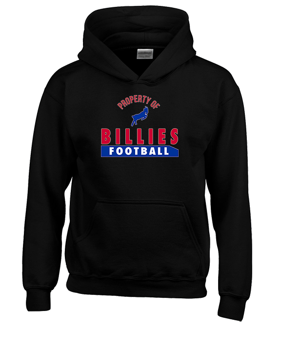 Williamsville South HS Football Property - Youth Hoodie