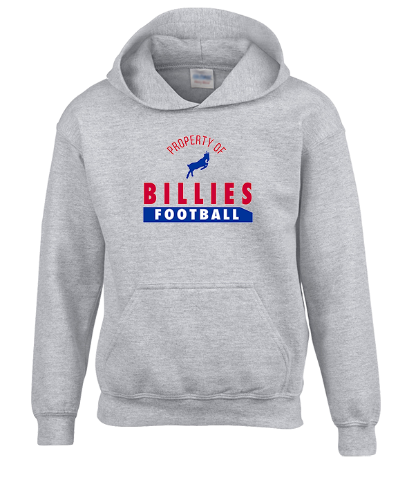 Williamsville South HS Football Property - Youth Hoodie
