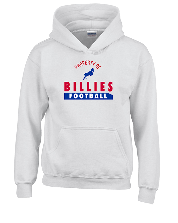 Williamsville South HS Football Property - Youth Hoodie